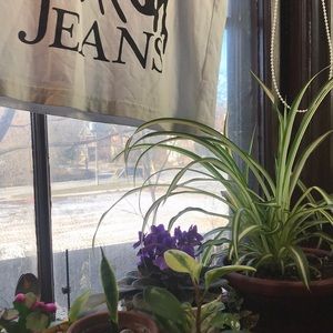 Meet your Posher, Shea